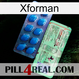 Xforman new02